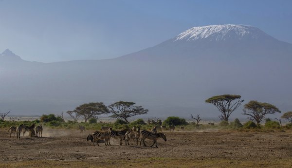 Хемингуэй гора Килиманджаро