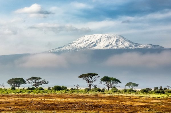 Трехглавая гора Килиманджаро