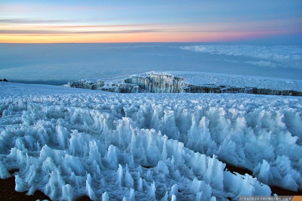 Kilimanjaro field Landscapes