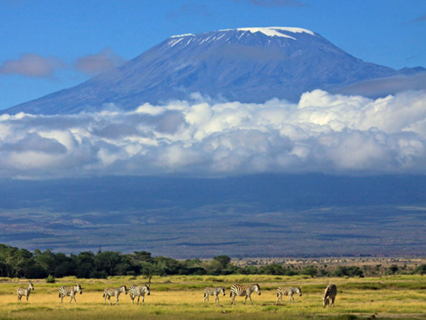 Африка вулкан Килиманджаро
