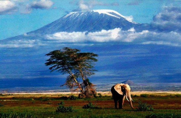 Национальный парк Танзании Серенгети вулканы