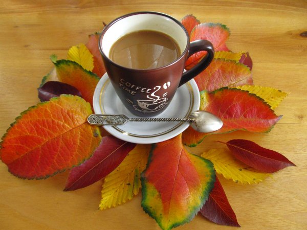 Теплого осеннего утра