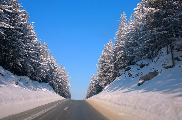 Зима дорога