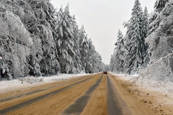 Заснеженная дорога