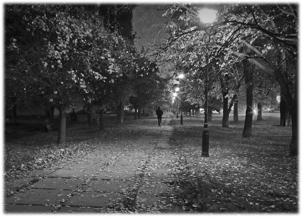 Черно белая осень