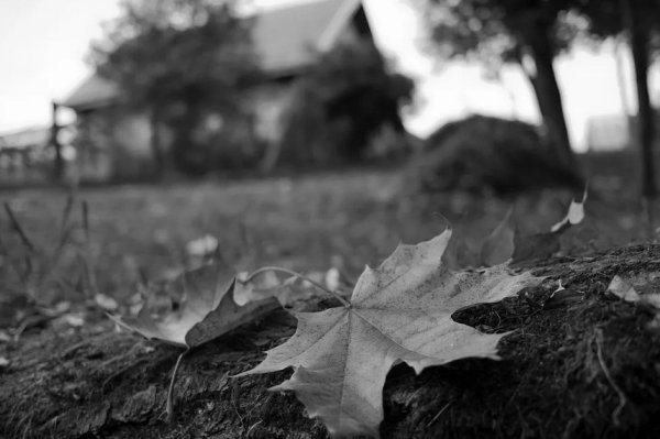 Осень грусть