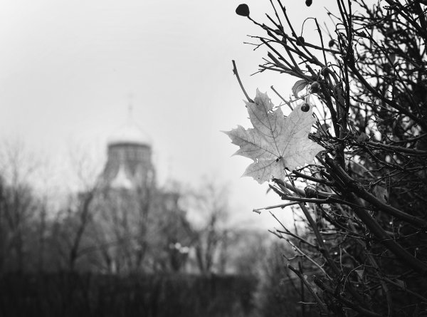 Черно белая осень