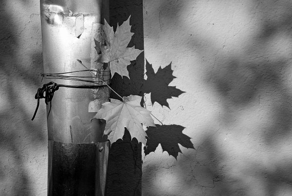 Осень Эстетика