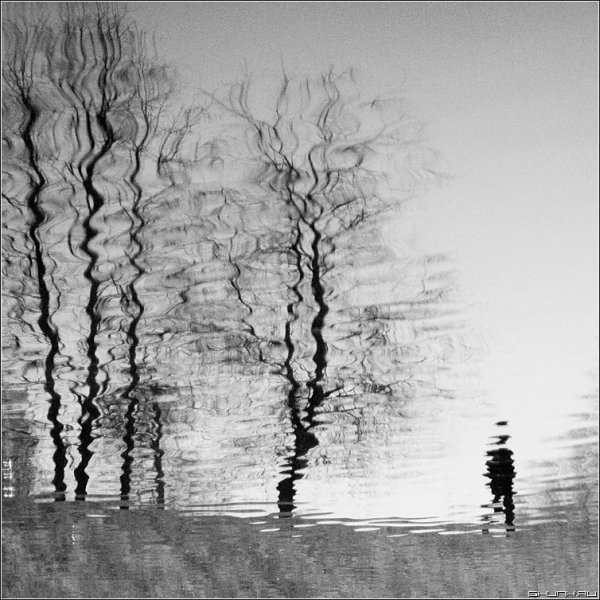 Черно белой краской природу