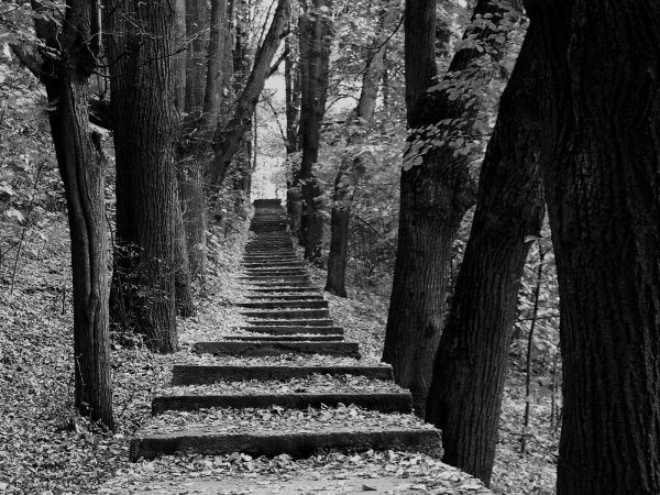 Черно белая осень