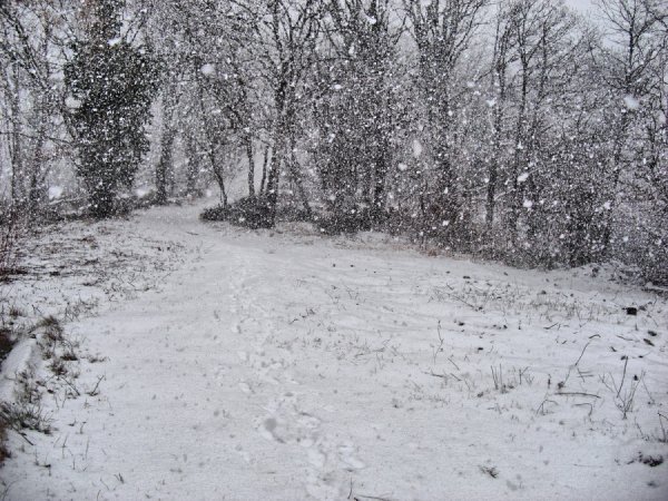 Первый снег