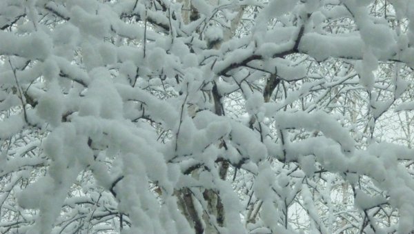 Снег валит картинки