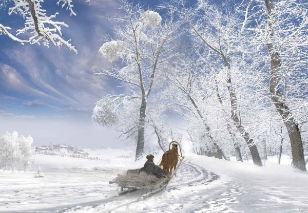 Сергей Есенин пороша