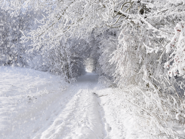 Зимняя дорога