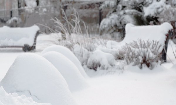 Фото Вали зимой