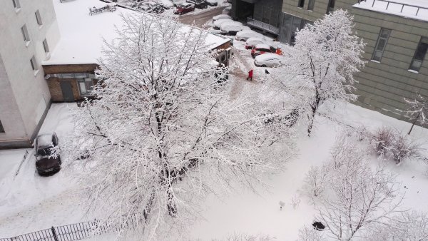 Москва заснеженная январь 2021