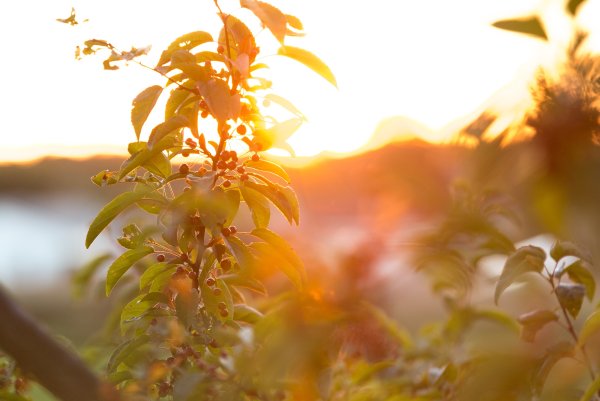 Солнечное утро осень