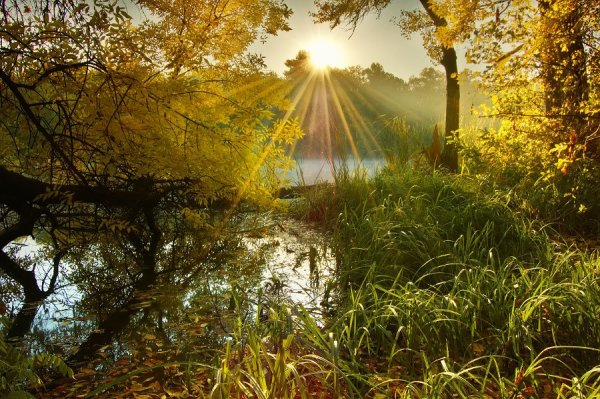 Доброе утро осеннее природа