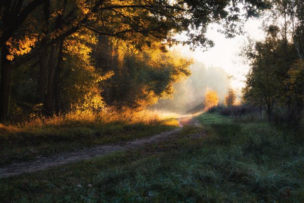 Осень раннее утро