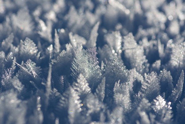 Серебристый снег