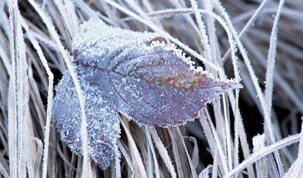 Иней это осадки