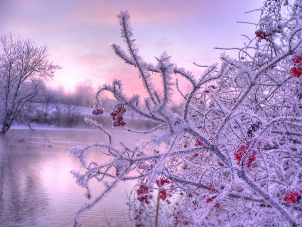 Красивая зима