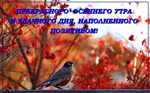 Доброе осеннее утро четверга