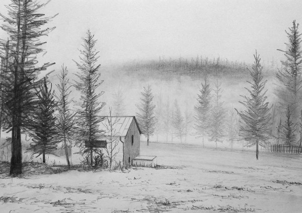 Зимний лес рисунок