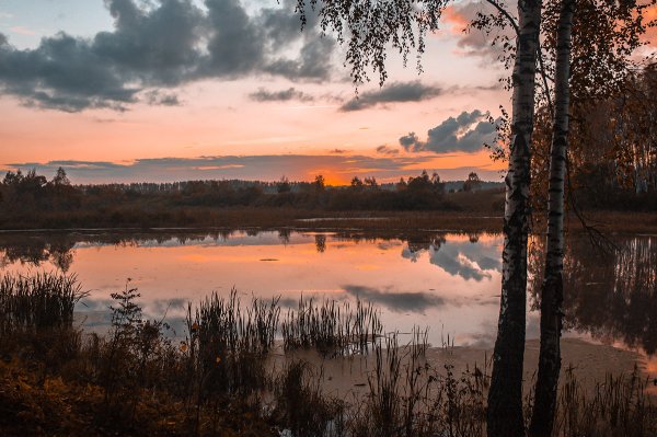 Вечерняя природа