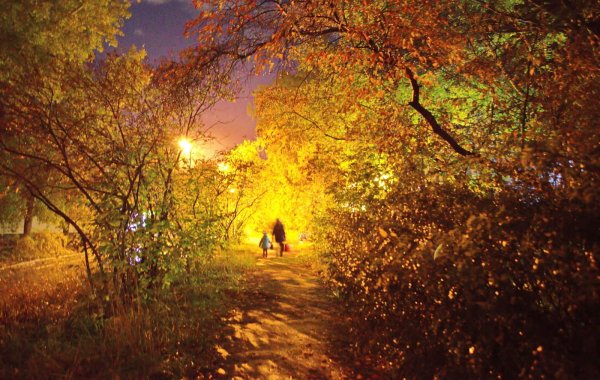 Осенний вечер