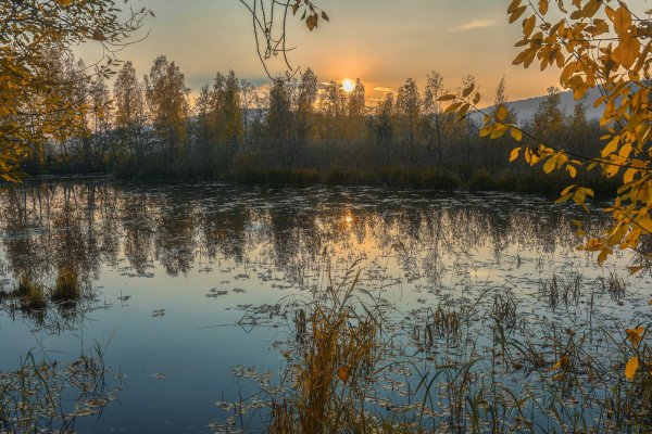 Светлость осенних вечеров