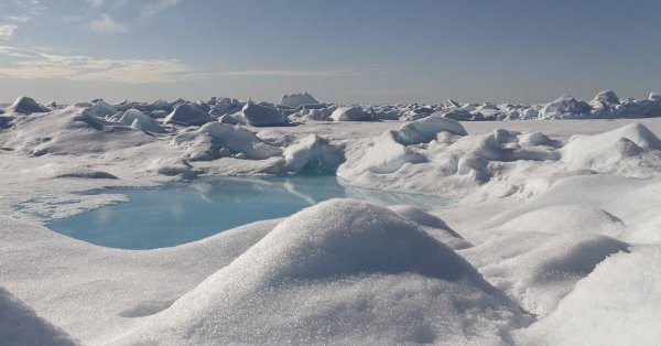Арктические снега