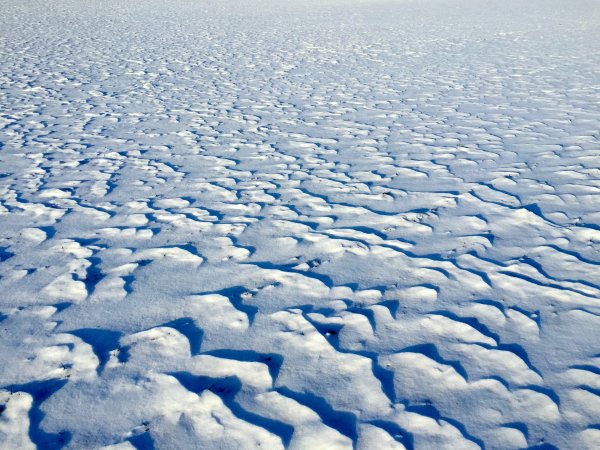 Зимние поля арктические