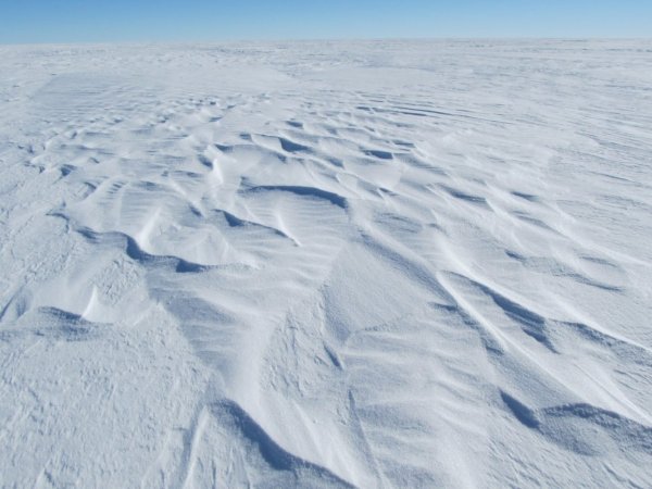 Антарктида до оледенения