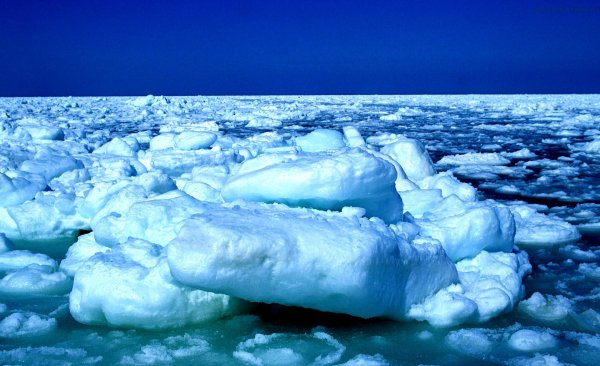 Север льдины
