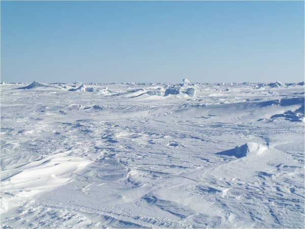 Арктическая пустыня Красноярского края