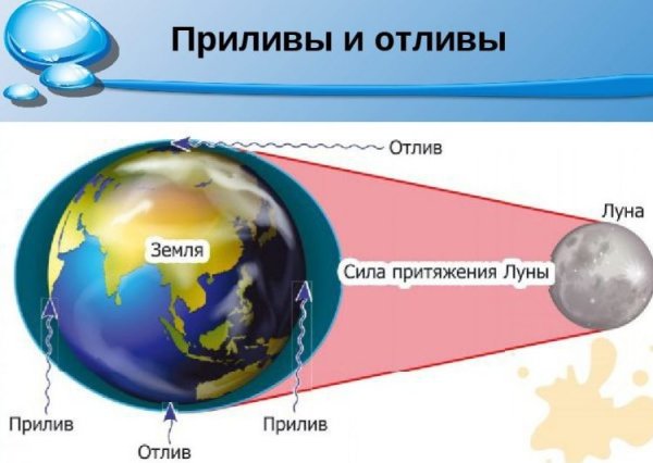 Приливы и отливы влияние Луны схема