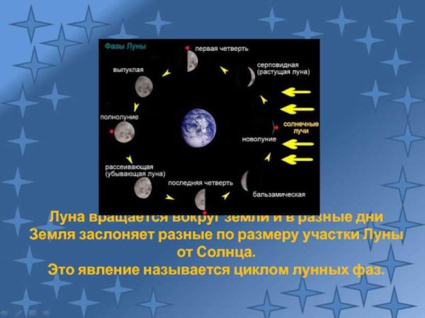 Оборот Луны вокруг земли