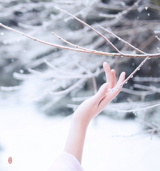 Зима Эстетика