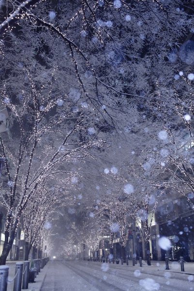 Красивый снегопад