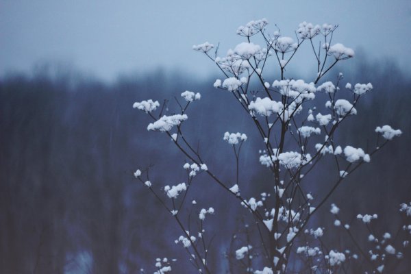 Эстетика в холодных тонах