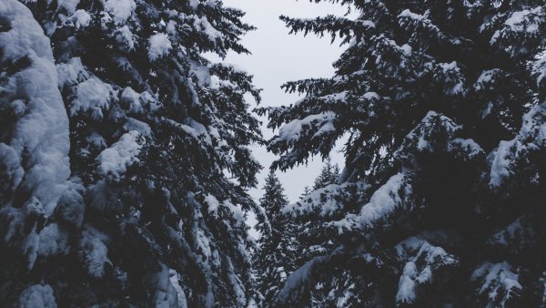 Зима Эстетика