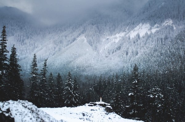 Снежные горы в тумане