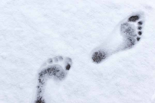 Следы на снегу