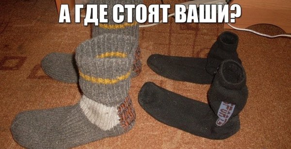 Мужские носки юмор