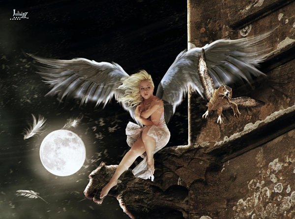 Ангел сидит на Луне