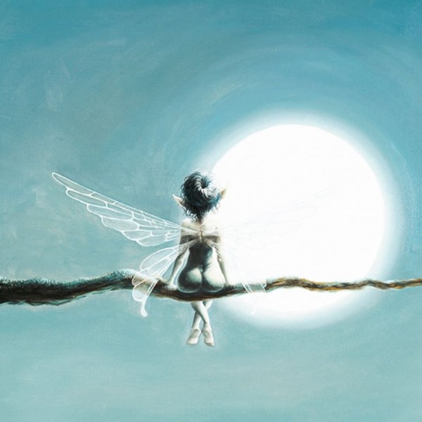 Pascal Moguerou феи