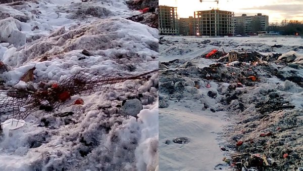 Загрязнение снега