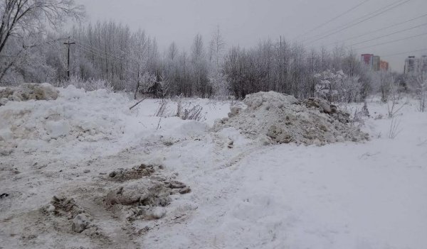 Загрязнение снега