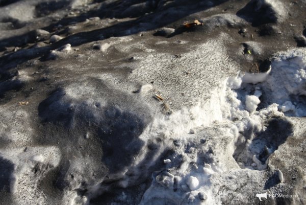 Черный снег